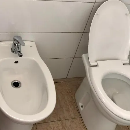 Viluni Shkodër
