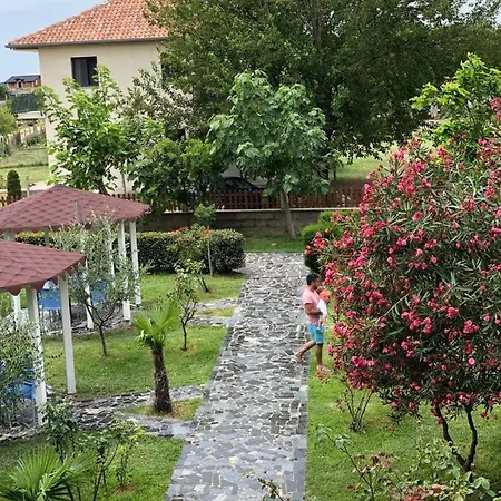 Viluni Shkodër