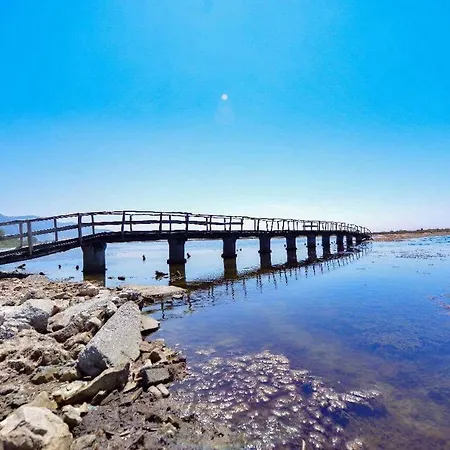 Viluni * Shkodër