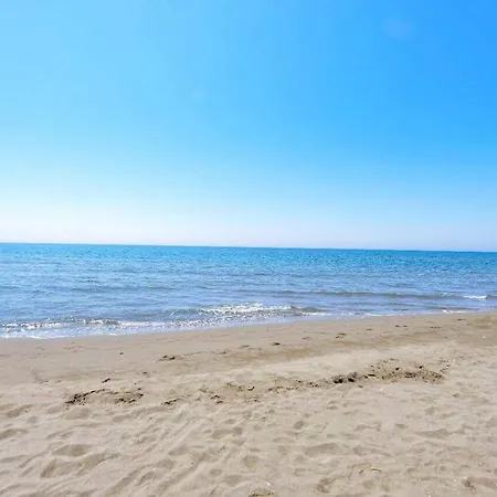 Viluni Shkodër