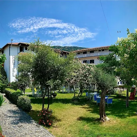 Viluni * Shkodër