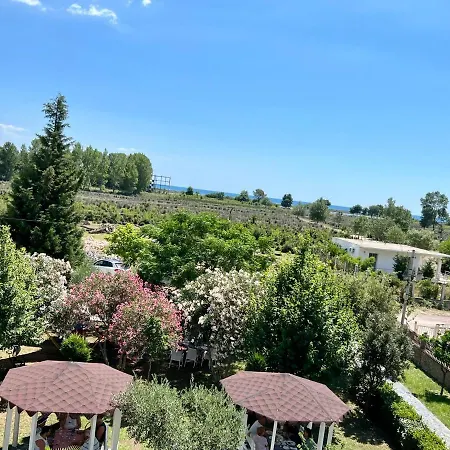 Hotell Viluni Shkodër
