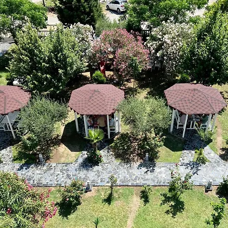Viluni Shkodër