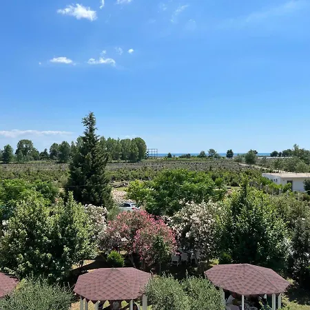 Viluni * Shkodër